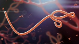 Nigeria Ebola Case: Africa CDC Says Source of Infection Remains Unclear