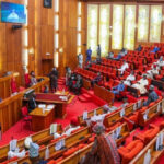 State Police Bill Passes as Nigerian Senate Approves Constitutional Amendments
