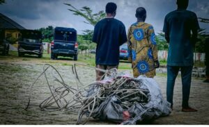 NSCDC Arrests Three Over Alleged Cable Theft in Iwo